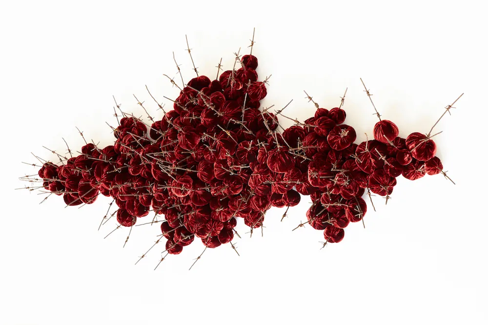 Strange Fruit 2018 Strange Fruit 2018