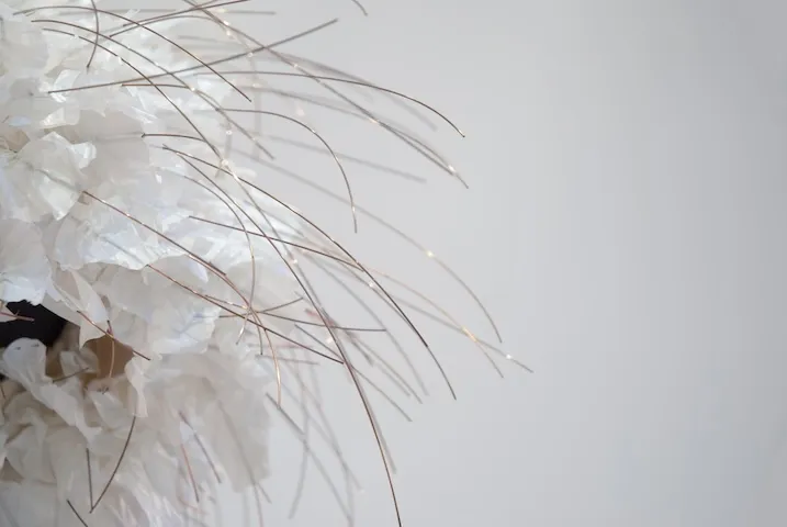 2023

deconstructed domestic ducting hose, canvas, tailors dummy