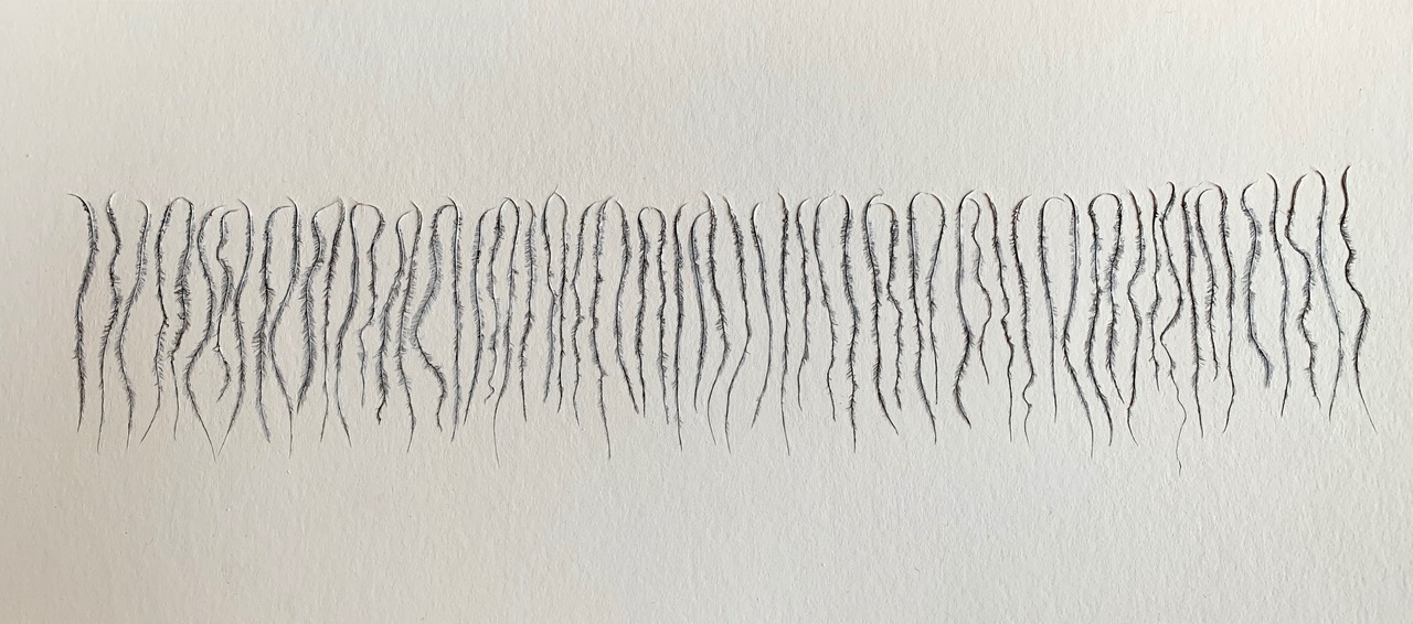 Chinese Whispers; ostrich feather barbs & gesso on paper; 2019