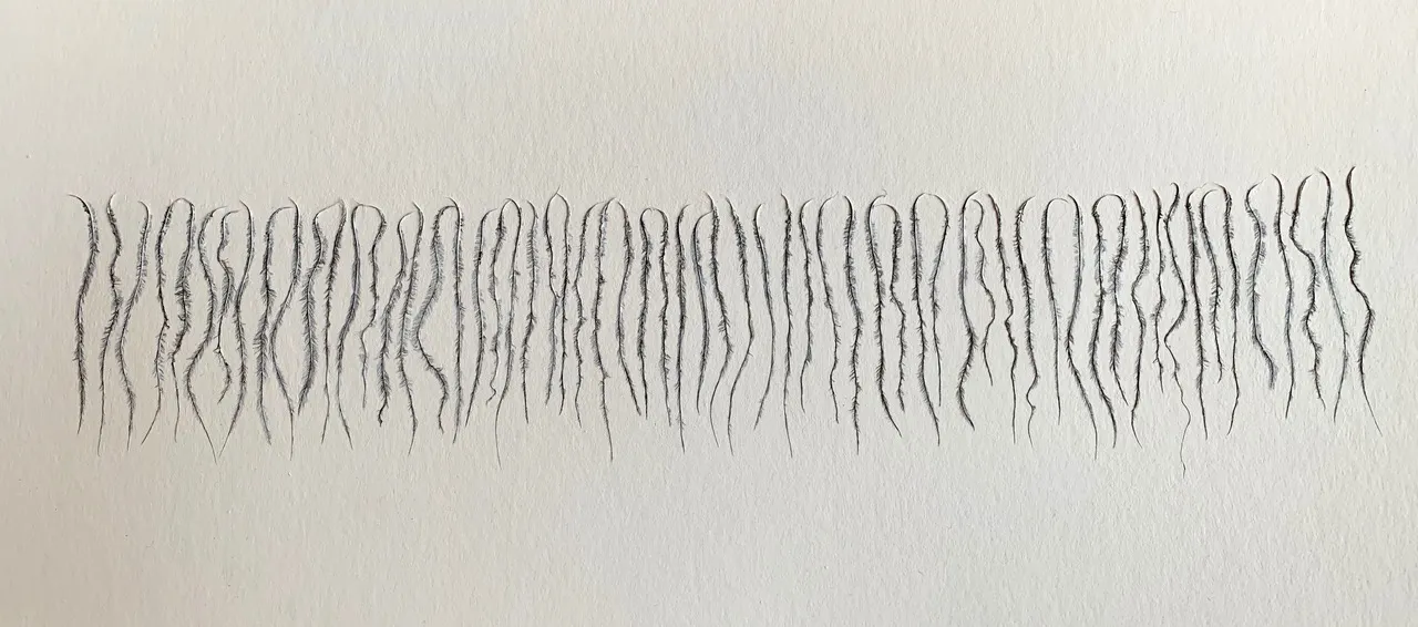 Chinese Whispers; ostrich feather barbs & gesso on paper; 2019