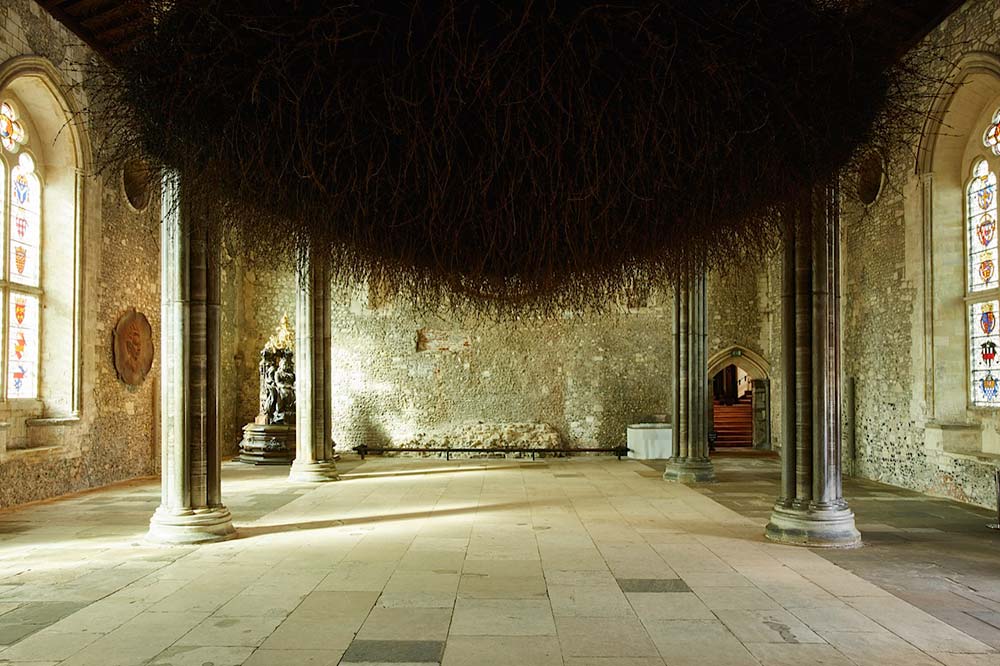 Site Specific Installation

The Great Hall, Winchester 2015

Reclaimed Military Barbed Wire

Butterfly Netting
