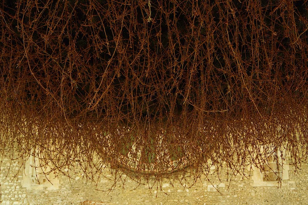 Site Specific Installation

The Great Hall, Winchester 2015

Reclaimed Military Barbed Wire

Butterfly Netting