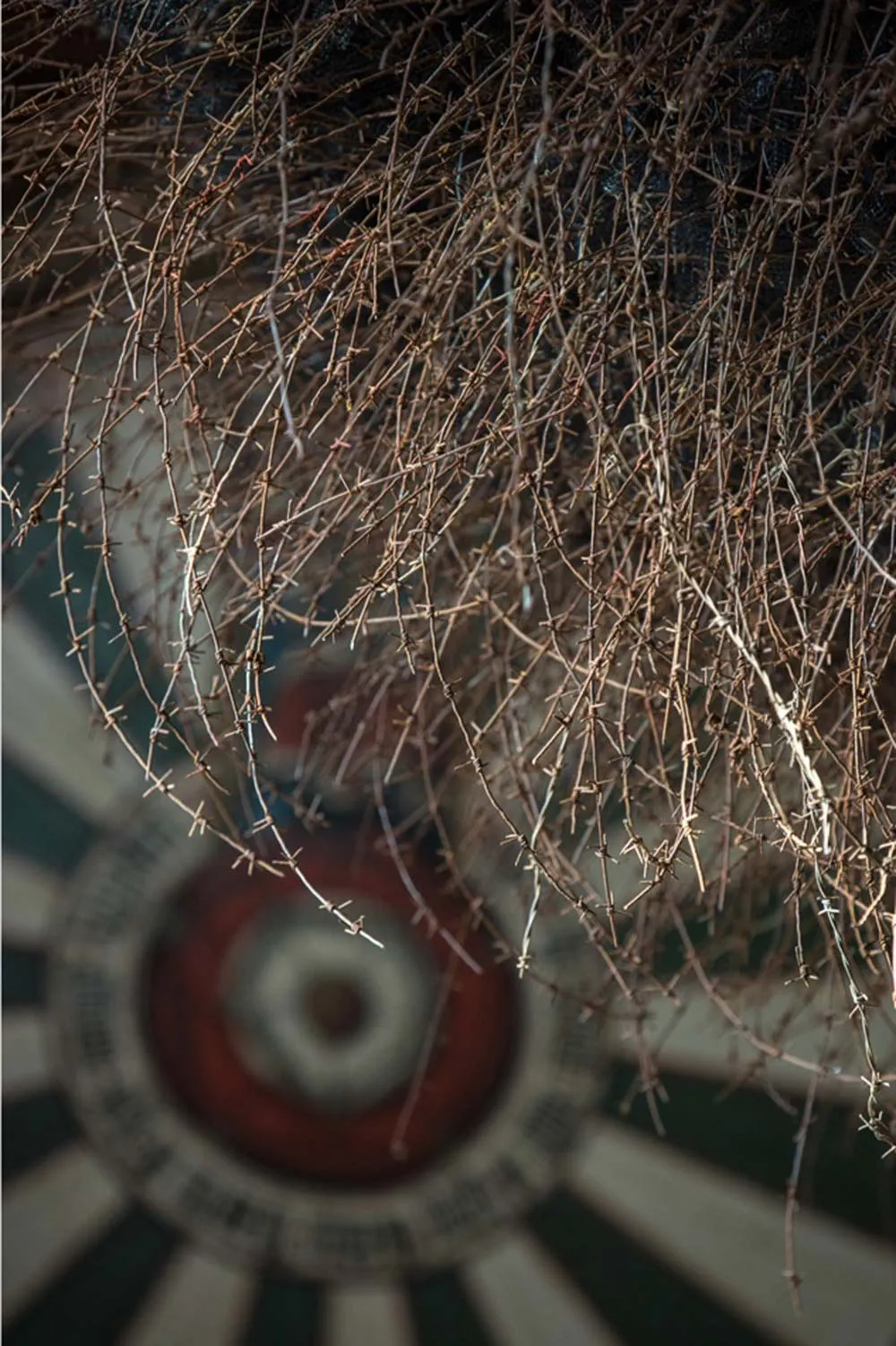 Site Specific Installation

The Great Hall, Winchester 2015

Reclaimed Military Barbed Wire

Butterfly Netting