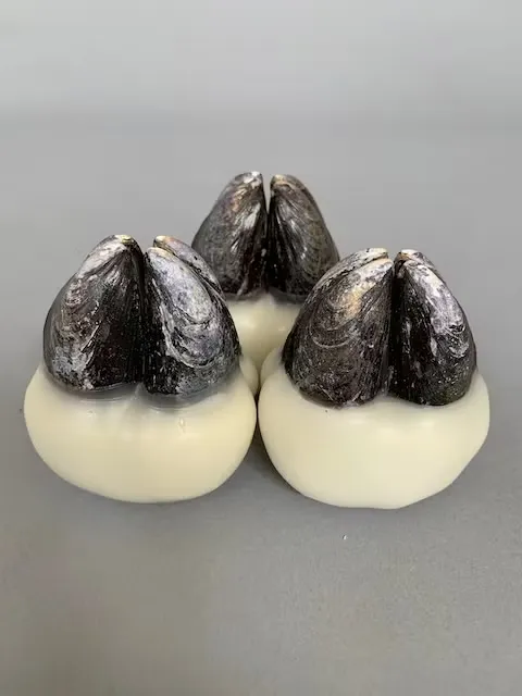 2024

mussel shells and wax, limited edition of 7 individual pieces, 7cm x 7cm x 5cm