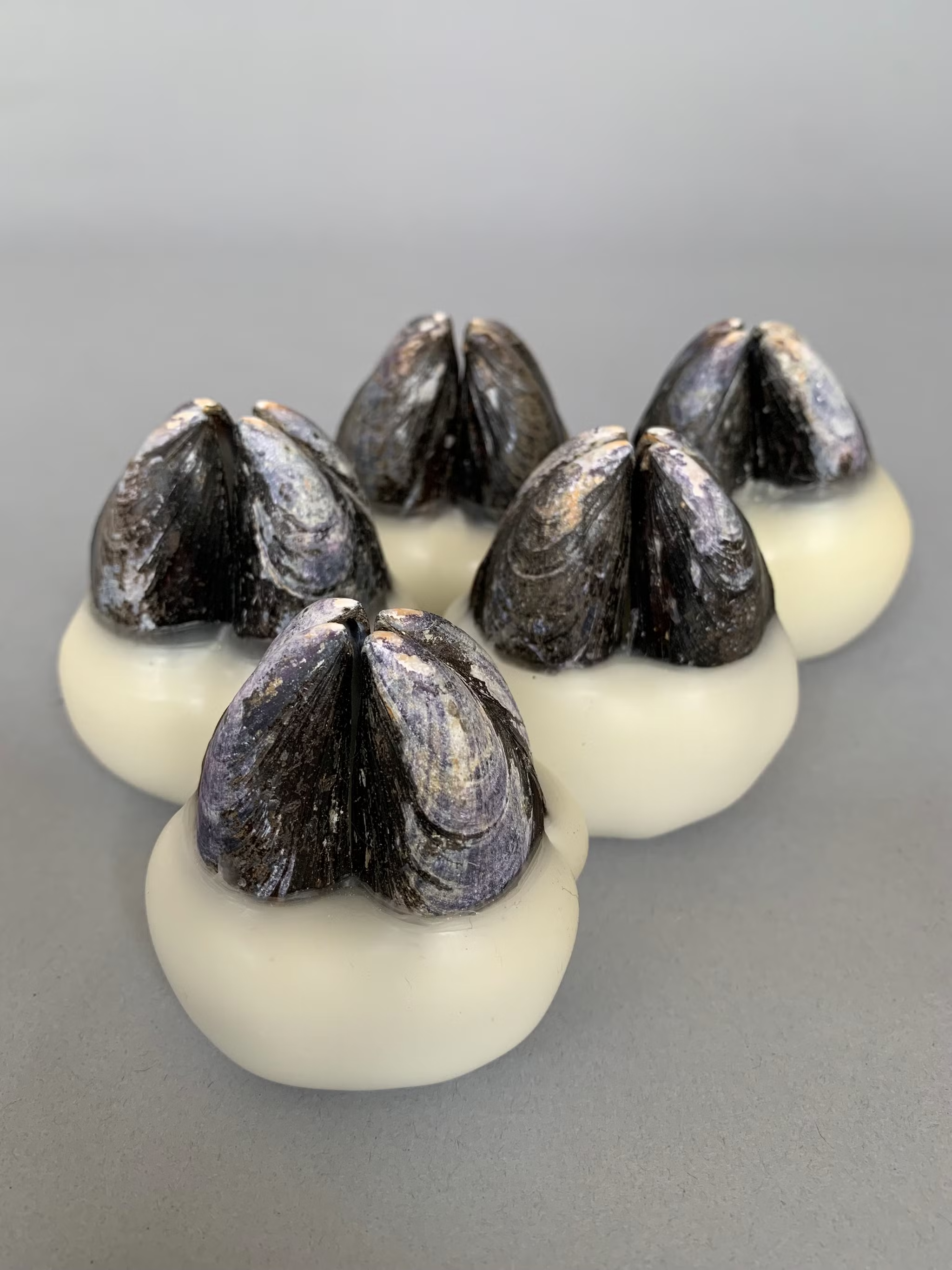 2024

mussel shells and wax, limited edition of 7 individual pieces, 7cm x 7cm x 5cm