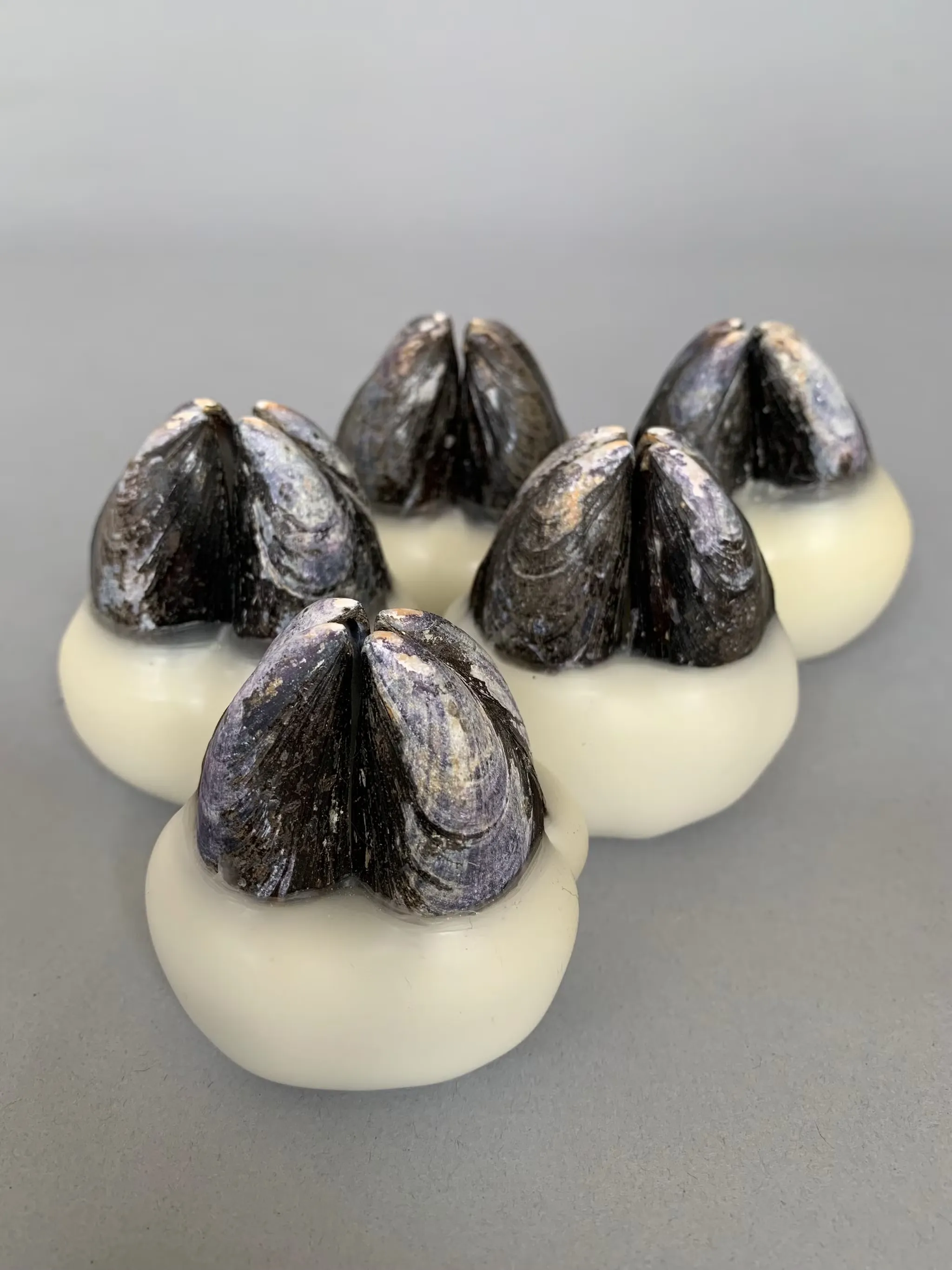 2024

mussel shells and wax, limited edition of 7 individual pieces, 7cm x 7cm x 5cm