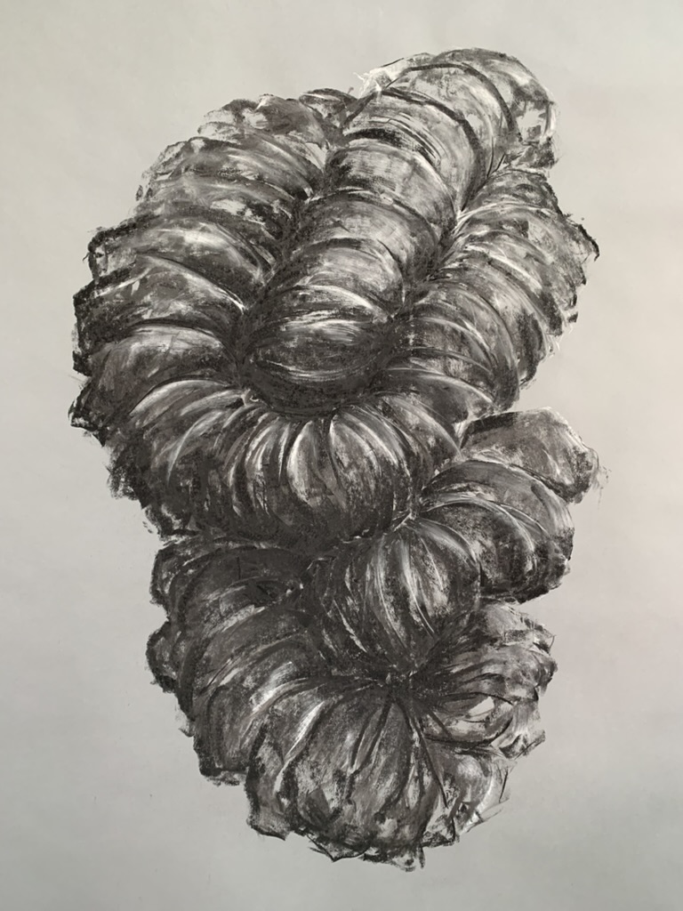 Study for Entwine II