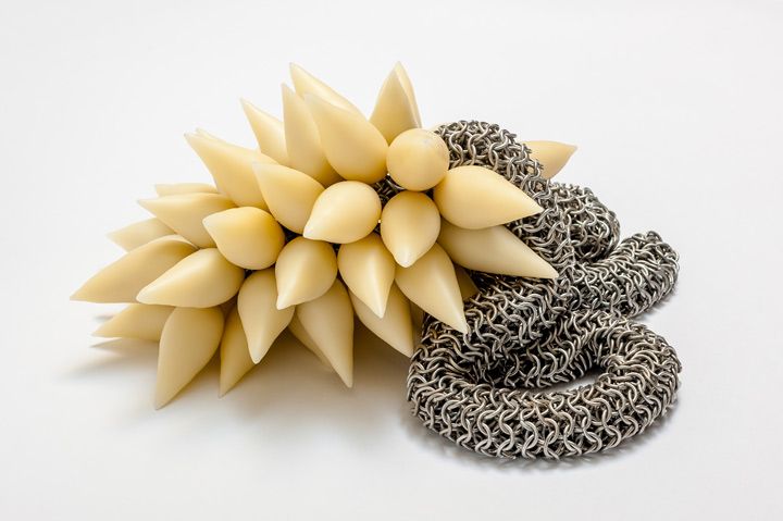 Eve 2013; Dimensions Variable; wax, handmade aluminium Rings Eve 2013; Dimensions Variable; wax, handmade aluminium Rings