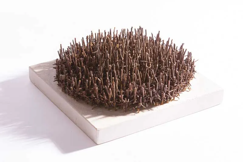 Field

Reclaimed Military Barbed Wire

Composite Portland Stone

2015