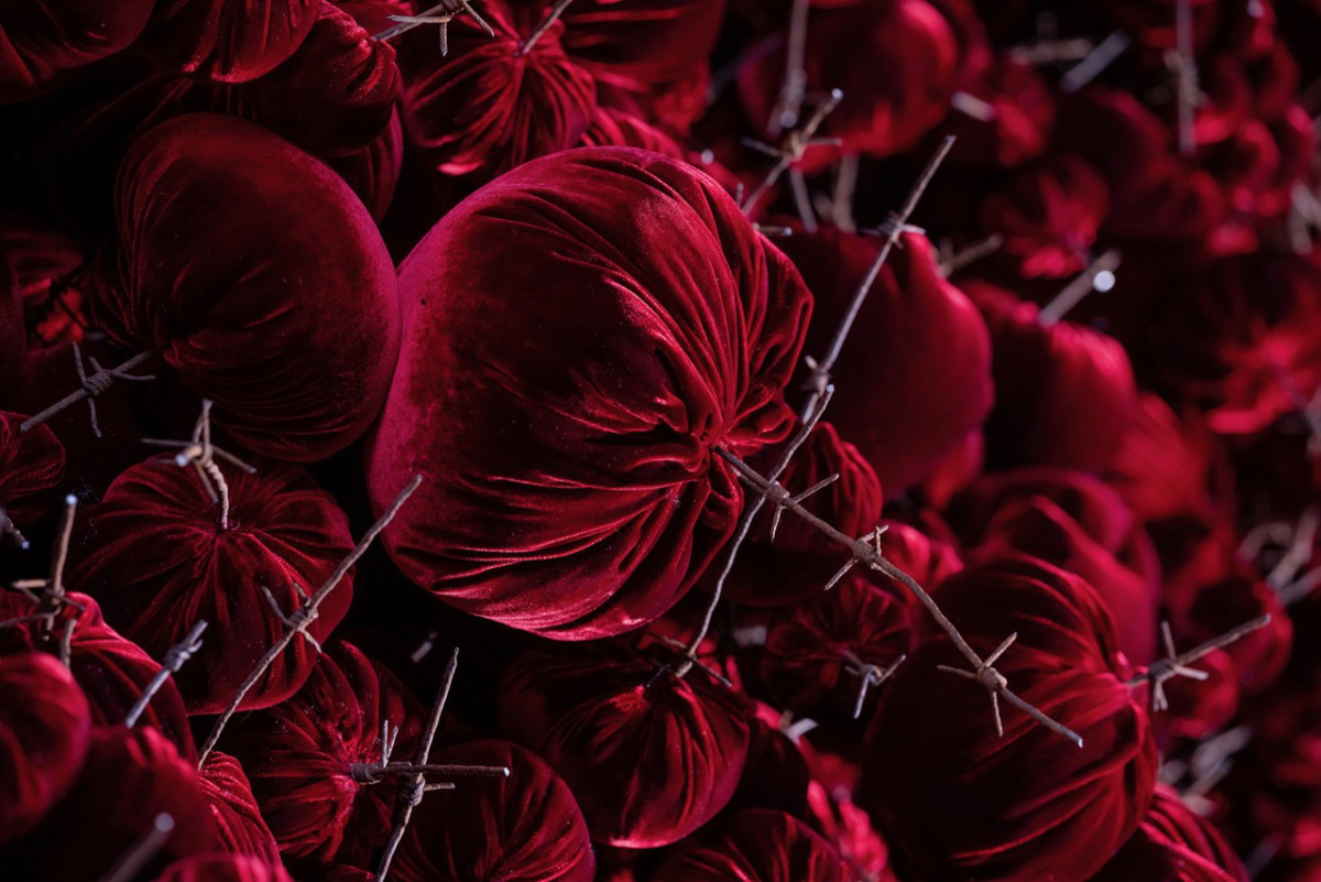 Gathering

site specific installation

Tatton Park Mansion 2019

silk velvet, reclaimed military barbed wire

Susie MacMurray has an uncanny knack of going to the heart of the matter. Her work is somehow immediately evocative, reeling in the viewer to contemplate a sense of place, a feeling of loss, and a desire to touch.  Her unusual combinations of materials and subject matter, in site-specific installations, are always intriguing and poetic. They provoke an interaction with the viewer, which draws on both physical and cultural associations.

In 'Gathering,' designed specifically to hang from the circular piercing under the rotunda of the staircase hall at Tatton Park, MacMurray returns to her constant theme of the ephemeral nature of life. To create this installation, she has worked regularly with small groups of volunteers, to hand sew tiny, luxurious, red velvet, ball-like elements, which she has then assembled to cascade in different configurations from the edge of the opening. The overall effect is of an eerie, dripping canopy of red velvet Spanish moss.

The luxury and softness of the deep red silk velvet, is impaled by protruding lengths of barbed wire, used by the MoD to train soldiers going to the Falklands, Kosovo and Afghanistan. The use of a material associated with conflict can be read as alluding to the narrative of cancer as a battle. This bringing together of such diametrically opposed materials lies at the core of MacMurray's approach. She enjoys "the conversations between not always expected combinations of materials, or materials in contexts in which you are not expecting to see them." Such juxtapositions are simultaneously appealing and disturbing. MacMurray works with and through materials, using them as a way of thinking about and expressing more conceptual ideas.

MacMurray is no stranger to loss; her husband died very young and very rapidly of cancer. In 'Gathering,' she examines this experience. The red silk she perceives as sensual, positive, bodily and precious, expressing love and desire and the living of life to the full. Yet the velvet impaled by the barbed wire is strangely beautiful and evocative. "Your life," she explains, "gets pierced by this sudden ordeal." The hospice helps by gathering people in its fold. Indeed many of the volunteers involved in the making of 'Gathering,' have been helped by the Hospice in this enfolding, supportive way, which MacMurray expresses in the gathering together of the red velvet elements.

MacMurray uses all manner of unlikely objects from rubber tubing, to barbed wire, to hair and wax, via a range of textiles and cords, combining them in strange assortments, to make them things of beauty and resonance. Her work is both solid and ethereal. She looks at the ephemeral nature of life. At life and loss, the soft, imperfect, human body that despite its imperfections is so glorious. She entices the visitor into contemplating the fragility of life, but also its joys.

Corrine Julius

June 2019

Susie MacMurray was invited to create this work to both celebrate and highlight the 20th anniversary of the Art Fair, which was established in 1999 to raise funds for the East Cheshire Hospice.

To purchase a piece of Gathering visit <a href='https://www.gatheringattatton.com/store'>gatheringattatton</a>

All funds raised go to East Cheshire Hospice.