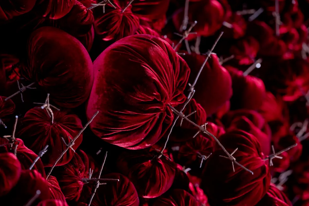 Gathering

site specific installation

Tatton Park Mansion 2019

silk velvet, reclaimed military barbed wire

Susie MacMurray has an uncanny knack of going to the heart of the matter. Her work is somehow immediately evocative, reeling in the viewer to contemplate a sense of place, a feeling of loss, and a desire to touch.  Her unusual combinations of materials and subject matter, in site-specific installations, are always intriguing and poetic. They provoke an interaction with the viewer, which draws on both physical and cultural associations.

In 'Gathering,' designed specifically to hang from the circular piercing under the rotunda of the staircase hall at Tatton Park, MacMurray returns to her constant theme of the ephemeral nature of life. To create this installation, she has worked regularly with small groups of volunteers, to hand sew tiny, luxurious, red velvet, ball-like elements, which she has then assembled to cascade in different configurations from the edge of the opening. The overall effect is of an eerie, dripping canopy of red velvet Spanish moss.

The luxury and softness of the deep red silk velvet, is impaled by protruding lengths of barbed wire, used by the MoD to train soldiers going to the Falklands, Kosovo and Afghanistan. The use of a material associated with conflict can be read as alluding to the narrative of cancer as a battle. This bringing together of such diametrically opposed materials lies at the core of MacMurray's approach. She enjoys "the conversations between not always expected combinations of materials, or materials in contexts in which you are not expecting to see them." Such juxtapositions are simultaneously appealing and disturbing. MacMurray works with and through materials, using them as a way of thinking about and expressing more conceptual ideas.

MacMurray is no stranger to loss; her husband died very young and very rapidly of cancer. In 'Gathering,' she examines this experience. The red silk she perceives as sensual, positive, bodily and precious, expressing love and desire and the living of life to the full. Yet the velvet impaled by the barbed wire is strangely beautiful and evocative. "Your life," she explains, "gets pierced by this sudden ordeal." The hospice helps by gathering people in its fold. Indeed many of the volunteers involved in the making of 'Gathering,' have been helped by the Hospice in this enfolding, supportive way, which MacMurray expresses in the gathering together of the red velvet elements.

MacMurray uses all manner of unlikely objects from rubber tubing, to barbed wire, to hair and wax, via a range of textiles and cords, combining them in strange assortments, to make them things of beauty and resonance. Her work is both solid and ethereal. She looks at the ephemeral nature of life. At life and loss, the soft, imperfect, human body that despite its imperfections is so glorious. She entices the visitor into contemplating the fragility of life, but also its joys.

Corrine Julius

June 2019

Susie MacMurray was invited to create this work to both celebrate and highlight the 20th anniversary of the Art Fair, which was established in 1999 to raise funds for the East Cheshire Hospice.

To purchase a piece of Gathering visit <a href='https://www.gatheringattatton.com/store'>gatheringattatton</a>

All funds raised go to East Cheshire Hospice.