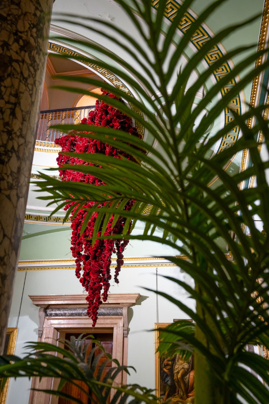 Gathering

site specific installation

Tatton Park Mansion 2019

silk velvet, reclaimed military barbed wire

Susie MacMurray has an uncanny knack of going to the heart of the matter. Her work is somehow immediately evocative, reeling in the viewer to contemplate a sense of place, a feeling of loss, and a desire to touch.  Her unusual combinations of materials and subject matter, in site-specific installations, are always intriguing and poetic. They provoke an interaction with the viewer, which draws on both physical and cultural associations.

In 'Gathering,' designed specifically to hang from the circular piercing under the rotunda of the staircase hall at Tatton Park, MacMurray returns to her constant theme of the ephemeral nature of life. To create this installation, she has worked regularly with small groups of volunteers, to hand sew tiny, luxurious, red velvet, ball-like elements, which she has then assembled to cascade in different configurations from the edge of the opening. The overall effect is of an eerie, dripping canopy of red velvet Spanish moss.

The luxury and softness of the deep red silk velvet, is impaled by protruding lengths of barbed wire, used by the MoD to train soldiers going to the Falklands, Kosovo and Afghanistan. The use of a material associated with conflict can be read as alluding to the narrative of cancer as a battle. This bringing together of such diametrically opposed materials lies at the core of MacMurray's approach. She enjoys "the conversations between not always expected combinations of materials, or materials in contexts in which you are not expecting to see them." Such juxtapositions are simultaneously appealing and disturbing. MacMurray works with and through materials, using them as a way of thinking about and expressing more conceptual ideas.

MacMurray is no stranger to loss; her husband died very young and very rapidly of cancer. In 'Gathering,' she examines this experience. The red silk she perceives as sensual, positive, bodily and precious, expressing love and desire and the living of life to the full. Yet the velvet impaled by the barbed wire is strangely beautiful and evocative. "Your life," she explains, "gets pierced by this sudden ordeal." The hospice helps by gathering people in its fold. Indeed many of the volunteers involved in the making of 'Gathering,' have been helped by the Hospice in this enfolding, supportive way, which MacMurray expresses in the gathering together of the red velvet elements.

MacMurray uses all manner of unlikely objects from rubber tubing, to barbed wire, to hair and wax, via a range of textiles and cords, combining them in strange assortments, to make them things of beauty and resonance. Her work is both solid and ethereal. She looks at the ephemeral nature of life. At life and loss, the soft, imperfect, human body that despite its imperfections is so glorious. She entices the visitor into contemplating the fragility of life, but also its joys.

Corrine Julius

June 2019

Susie MacMurray was invited to create this work to both celebrate and highlight the 20th anniversary of the Art Fair, which was established in 1999 to raise funds for the East Cheshire Hospice.

To purchase a piece of Gathering visit <a href='https://www.gatheringattatton.com/store'>gatheringattatton</a>

All funds raised go to East Cheshire Hospice.