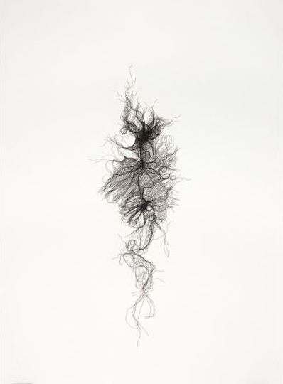 Heavy Gauze Bandage no 2; 2011; pen on paper; 1372cm x 1016cm (private collection) Heavy Gauze Bandage no 2; 2011; pen on paper; 1372cm x 1016cm (private collection)