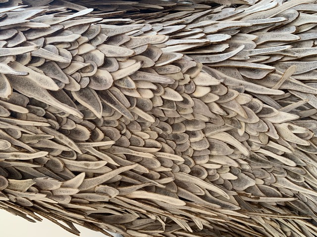 hart 2021

sliced deer antler tips on miniature mannequin form