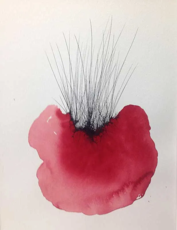 pen and wash drawings