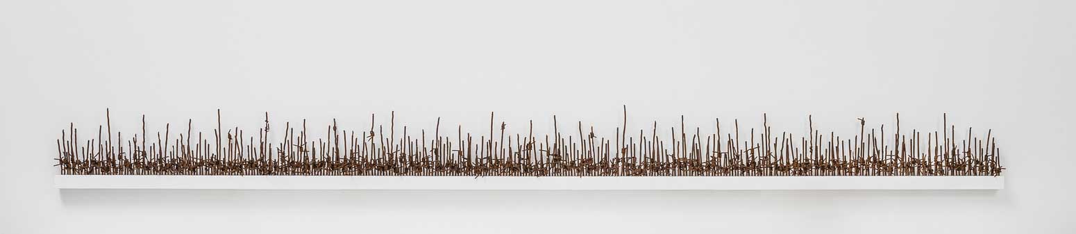 Hold the Line; reclaimed military barbed wire, painted MDF, wall mounted; 2016