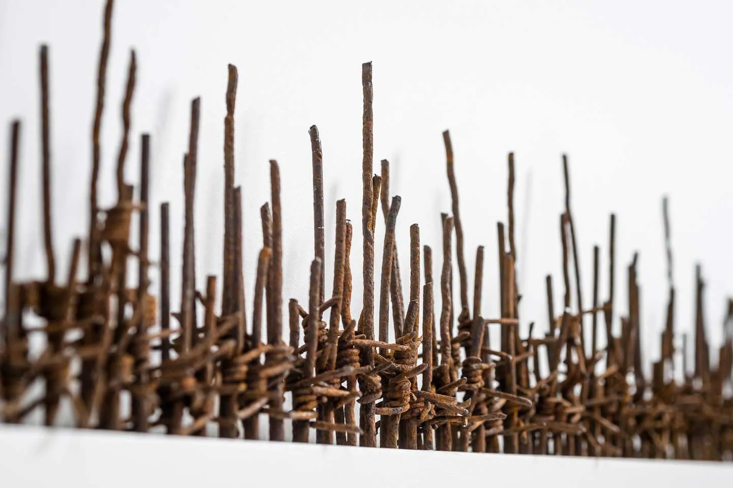 Hold the Line; reclaimed military barbed wire, painted MDF, wall mounted; 2016