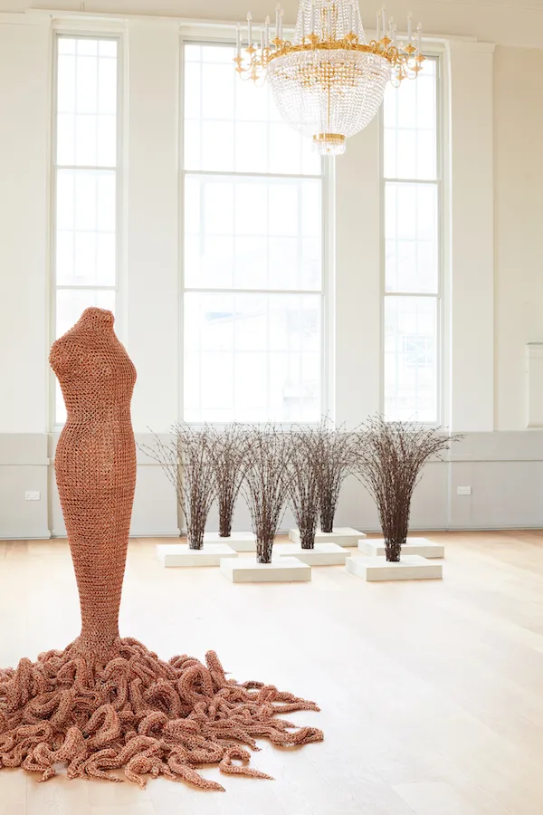 Host; installation view with Medusa; St Albans Museum & Art Gallery 2018