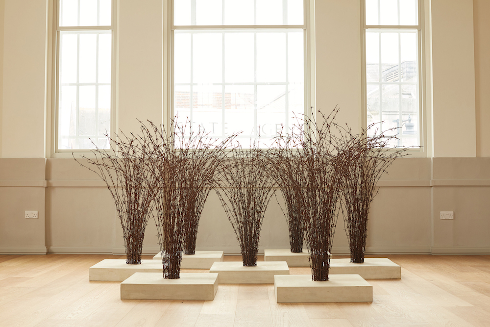 Host; installation view with Medusa; St Albans Museum & Art Gallery 2018