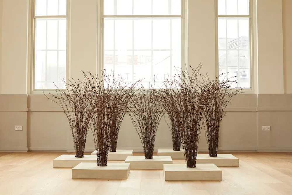 Host; installation view with Medusa; St Albans Museum & Art Gallery 2018