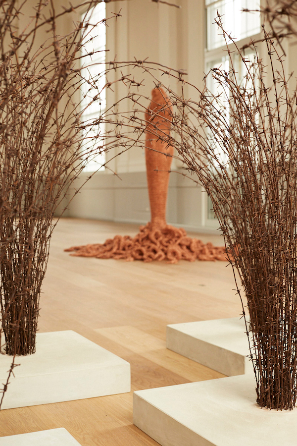 Host; installation view with Medusa; St Albans Museum & Art Gallery 2018