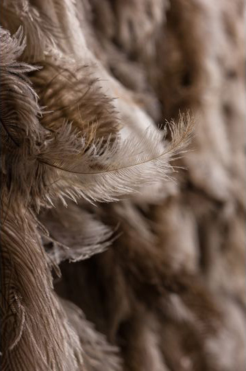 Icarus 2012

Ostrich Feathers

Bird Netting

Flight Harness

Copper Wire (private collection)

WWF commissioned a collection of works from leading artists, designers and architects for Padamonium in Hyde Park. The pieces were intended to inspire awareness of WWF's breadth of work.

Curated by Artwise, each artist contributed a piece of wearable sculpture or performance. The Pandamonium collection included fashion, textile, interaction, millinery and music. The works were auctioned during an open air catwalk show to raise funds and highlight the work of the WWF.

<a href="http://artwisecurators.com/projects/wwf-pandamonium-2/" target="_blank">artwisecurators pandamonium</a>