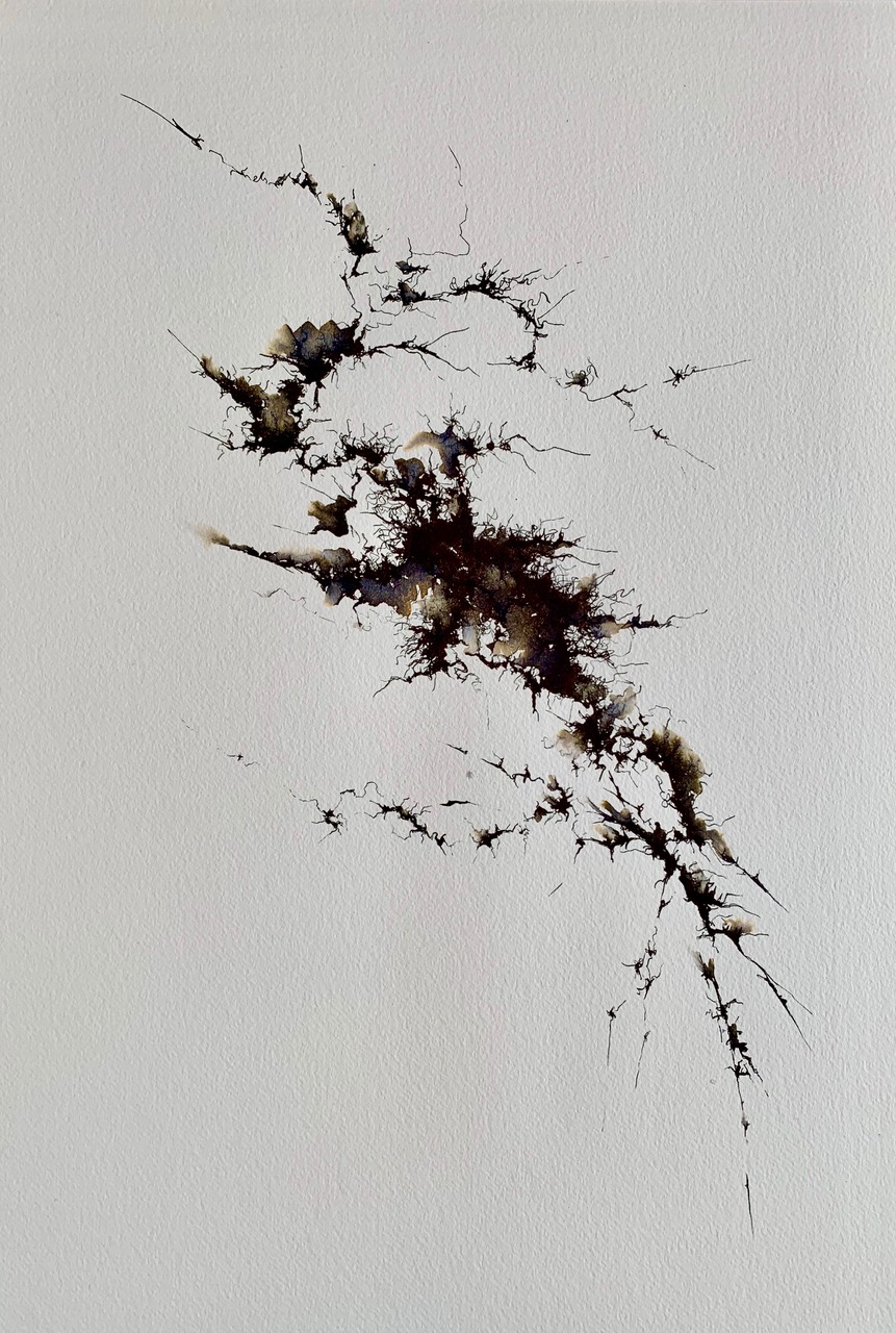 ink & water on paper; ostrich feather barbs; 2019