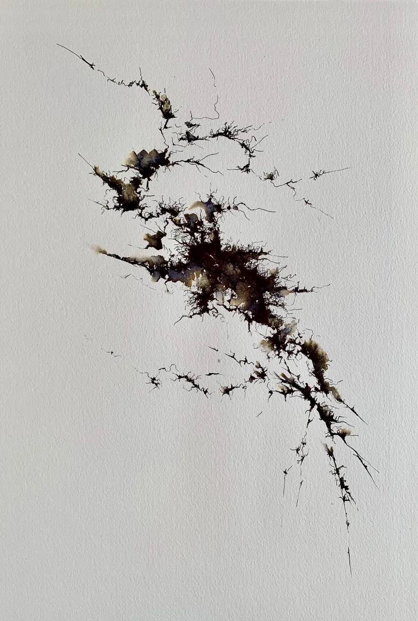 ink & water on paper; ostrich feather barbs; 2019