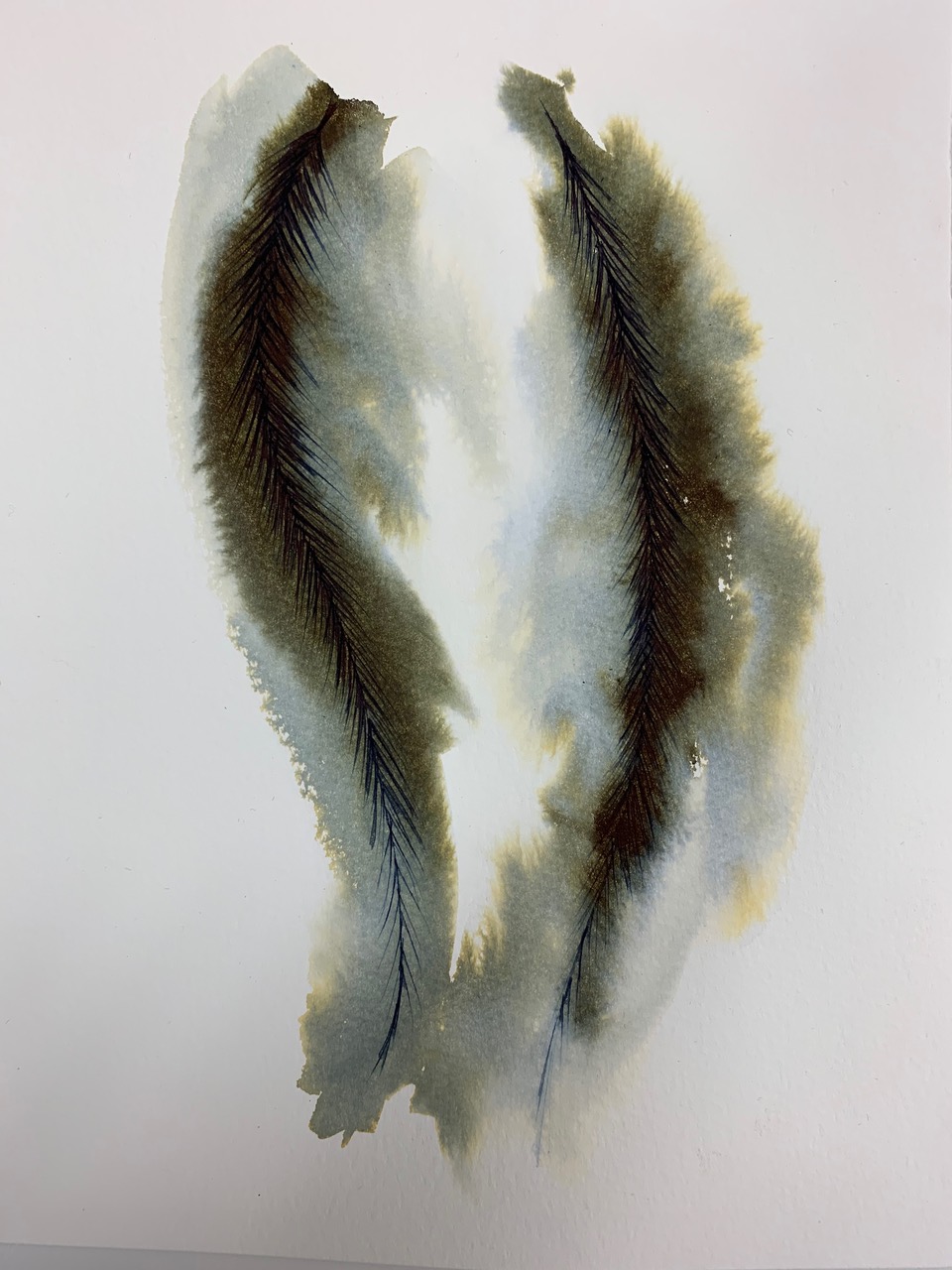 ink & water on paper; ostrich feather barbs; 2019