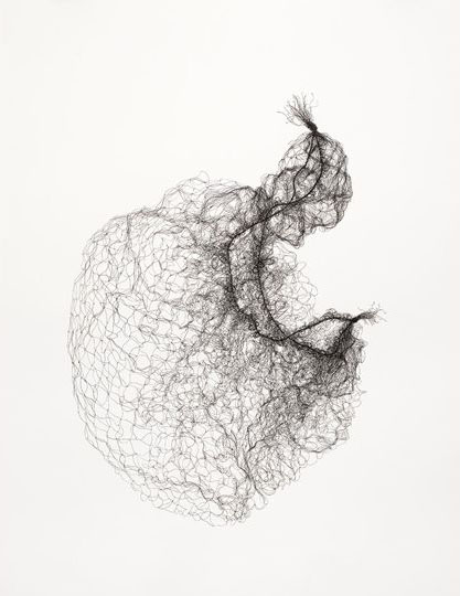 Large Hairnets No 3; 2011; Pen on Paper; 1372cm x 1016cm (private collection) Large Hairnets No 3; 2011; Pen on Paper; 1372cm x 1016cm (private collection)