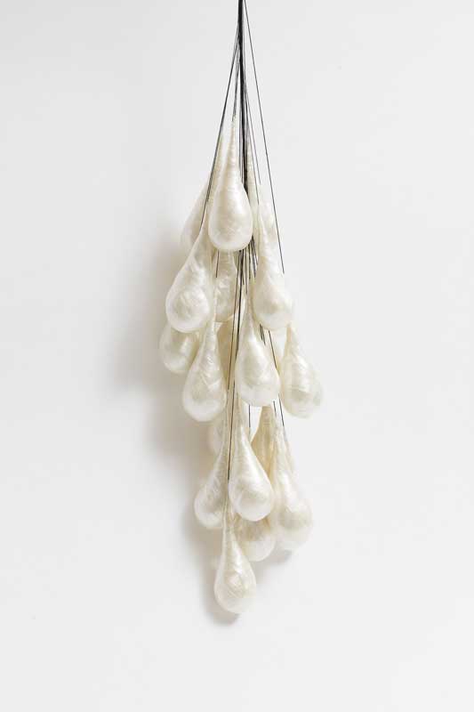 Little Feast

Plastic Food Wrap

Cotton Thread

Steel Bracket

2011