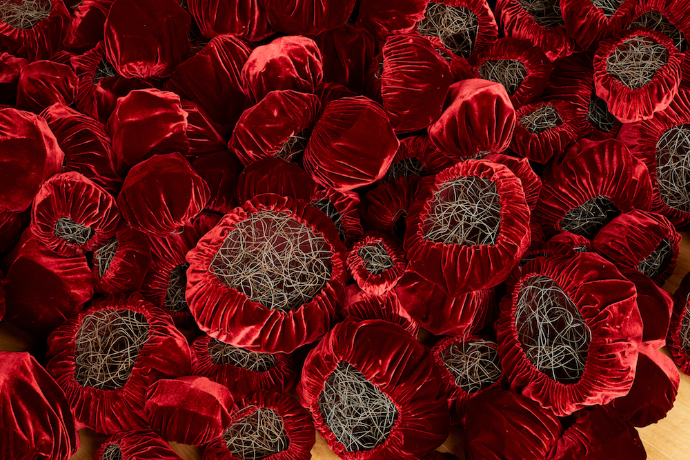 Site Specific Installation

St Albans Museum and Art Gallery  2018

silk velvet, raw black wire