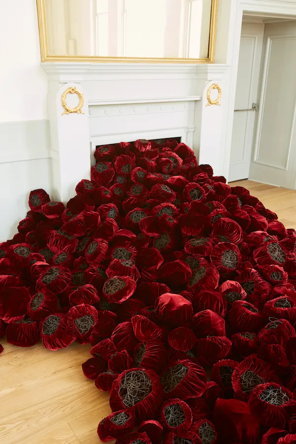 Site Specific Installation

St Albans Museum and Art Gallery  2018

silk velvet, raw black wire