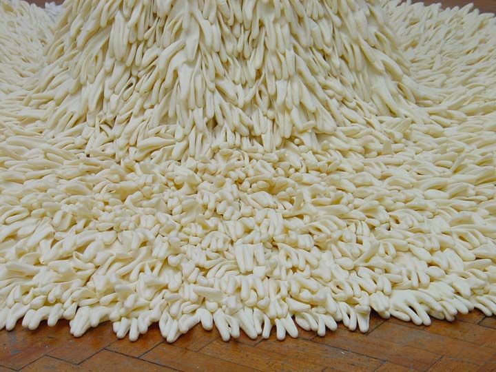 A Mixture of Frailties 2004

1400 Household Gloves turned Inside Out

Calico

Tailors Dummy (private collection)