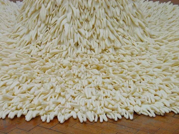 A Mixture of Frailties 2004

1400 Household Gloves turned Inside Out

Calico

Tailors Dummy (private collection)