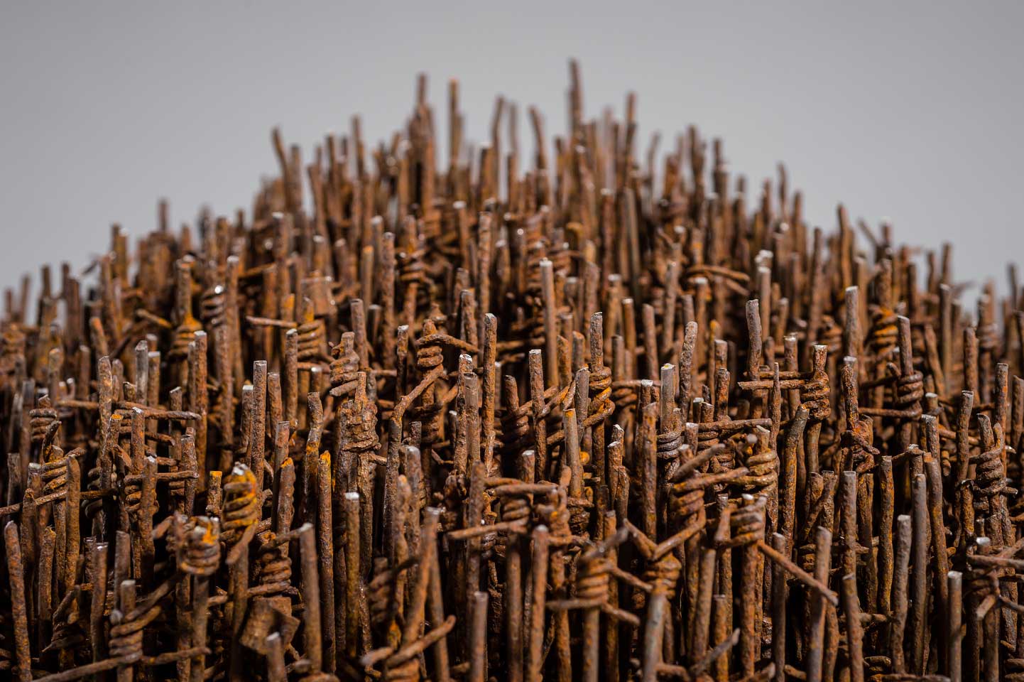 Palisade; reclaimed military barbed wire, composite portland stone; 2016