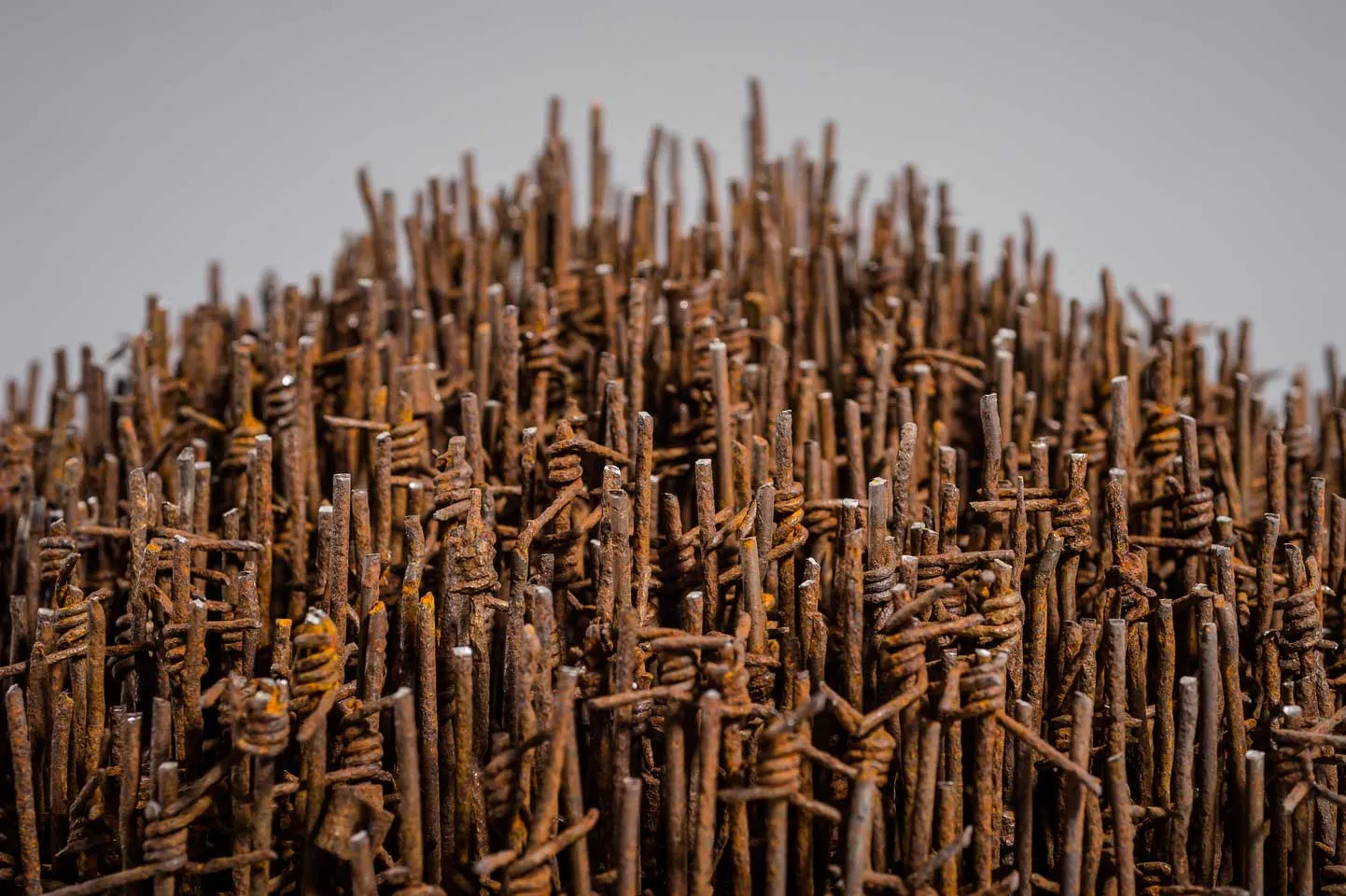 Palisade; reclaimed military barbed wire, composite portland stone; 2016