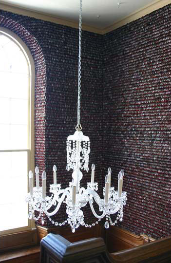 Pallant House Gallery

Chichester 2006/7

Mussel Shells, Red Silk Velvet