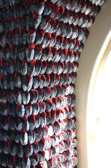 Pallant House Gallery

Chichester 2006/7

Mussel Shells, Red Silk Velvet