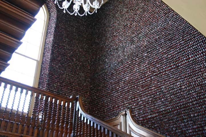 Pallant House Gallery

Chichester 2006/7

Mussel Shells, Red Silk Velvet