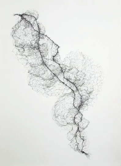 Small Hairnet No 2; 2014; Pen on Paper; 56cm x 76cm Small Hairnet No 2; 2014; Pen on Paper; 56cm x 76cm