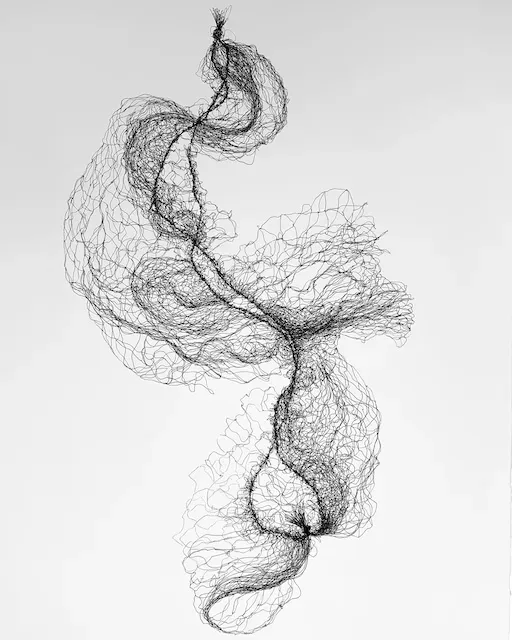 Small hairnet I; 2024 Small hairnet I; 2024