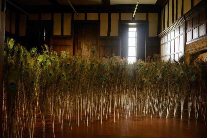 Spectacle 2013

Site specific installation

Part of Beastly Hall

Curated by Artwise at Hall Place - Bexley in Kent

Peacock feathers inserted into falsle floor of tudor room. Sightline through windows to the Queens Beasts topiaries, based on sculptures lining the route of the Queen's Coronation in 1953.