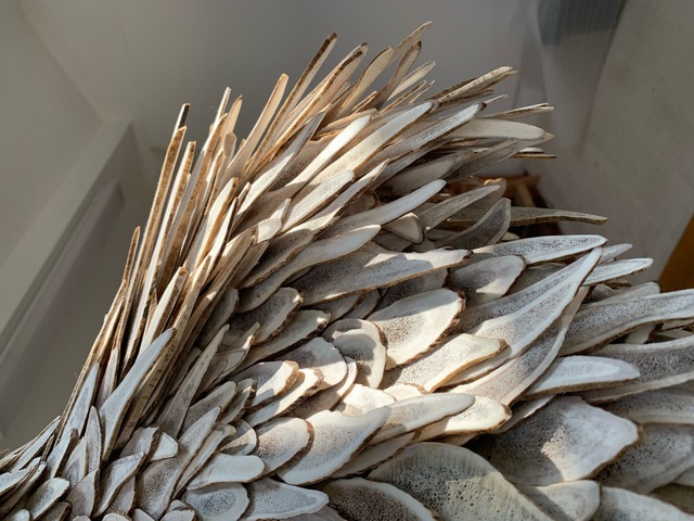 Stalker 2021

sliced fallow deer antlers

canvas

tailors dummy