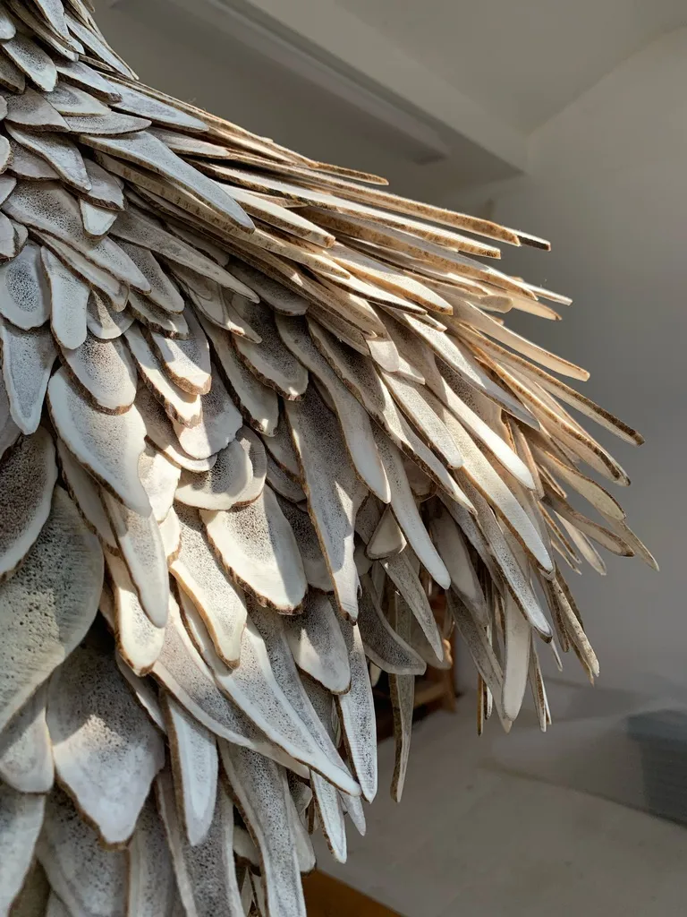 Susie MacMurray artwork