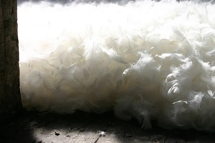 Stratum 2012
Islington Mill, Attic Space
80 Kg Feather Down
Islington Mill, James Street, Salford, M3 5HW
<a href="http://www.islingtonmill.com/">islingtonmill.com</a>