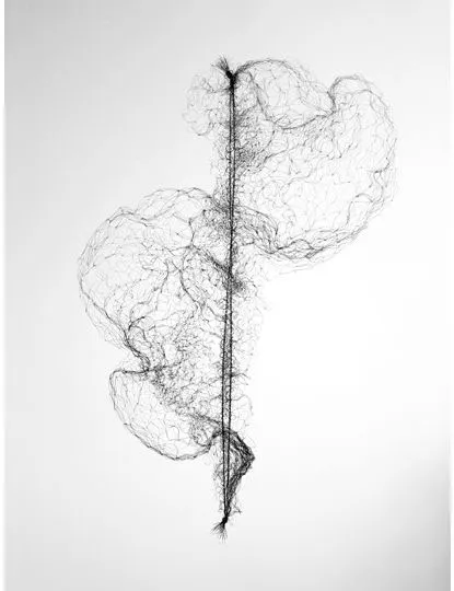 Stretched Hairnet No 1; 2011; Pen on Paper; 152cm x 121cm (private collection)