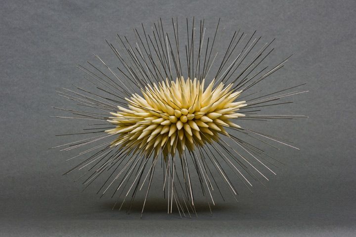 Swarm II 2011; wax, steel pins
