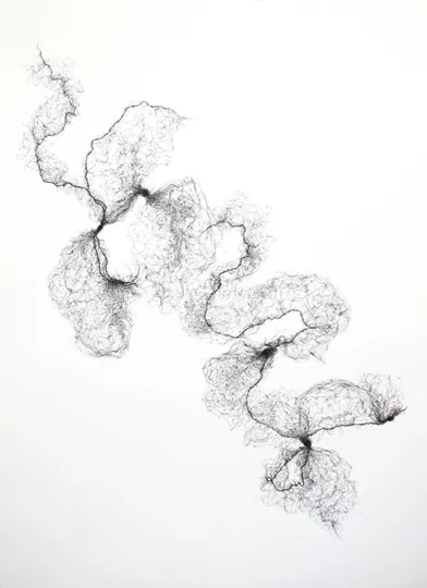 Tied Hairnets No 3; 2014; Pen on Paper; 152cm x 121cm Tied Hairnets No 3; 2014; Pen on Paper; 152cm x 121cm