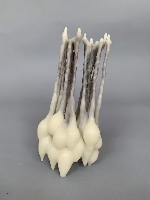 wax & wool series II,  21cm x 10cm x 6cm